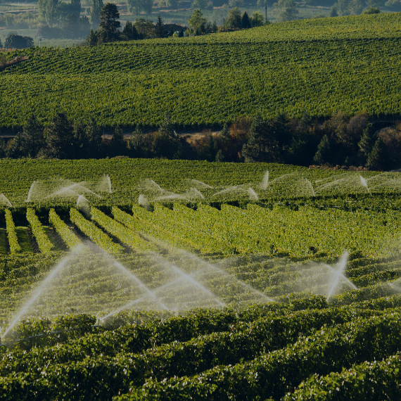 RIEGO AGRÍCOLA